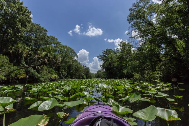 wekiwa-springs_contest_cortney-busscher_kayak-adventure-at-wakiwa-spring